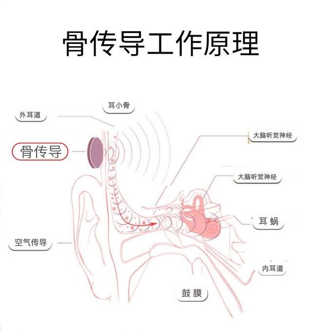 骨传导耳机工作原理